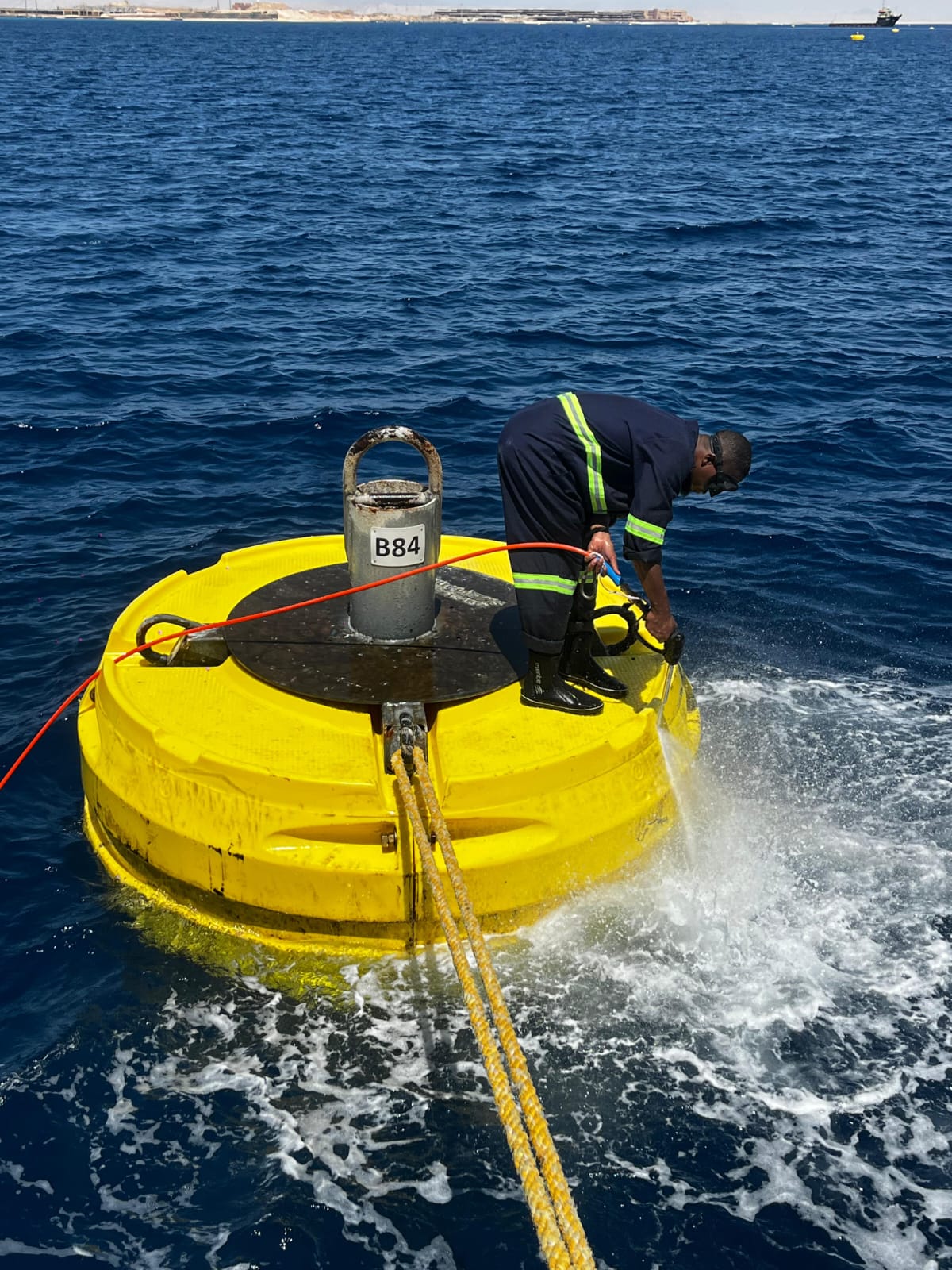 Diver cleaning mooring buoy B84