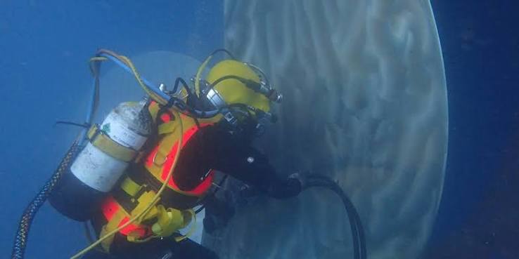 Commercial Diving Services